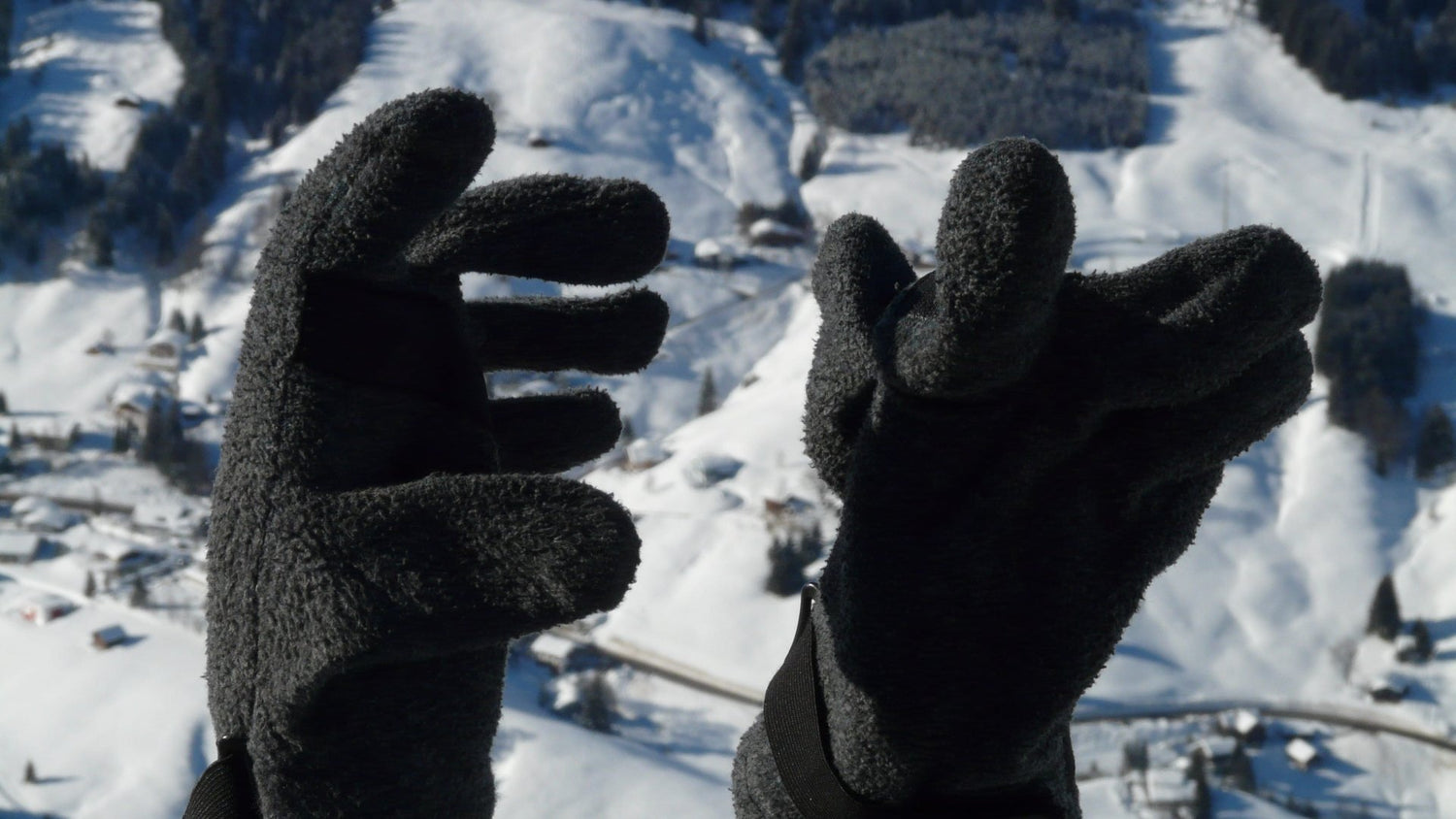 Gloves