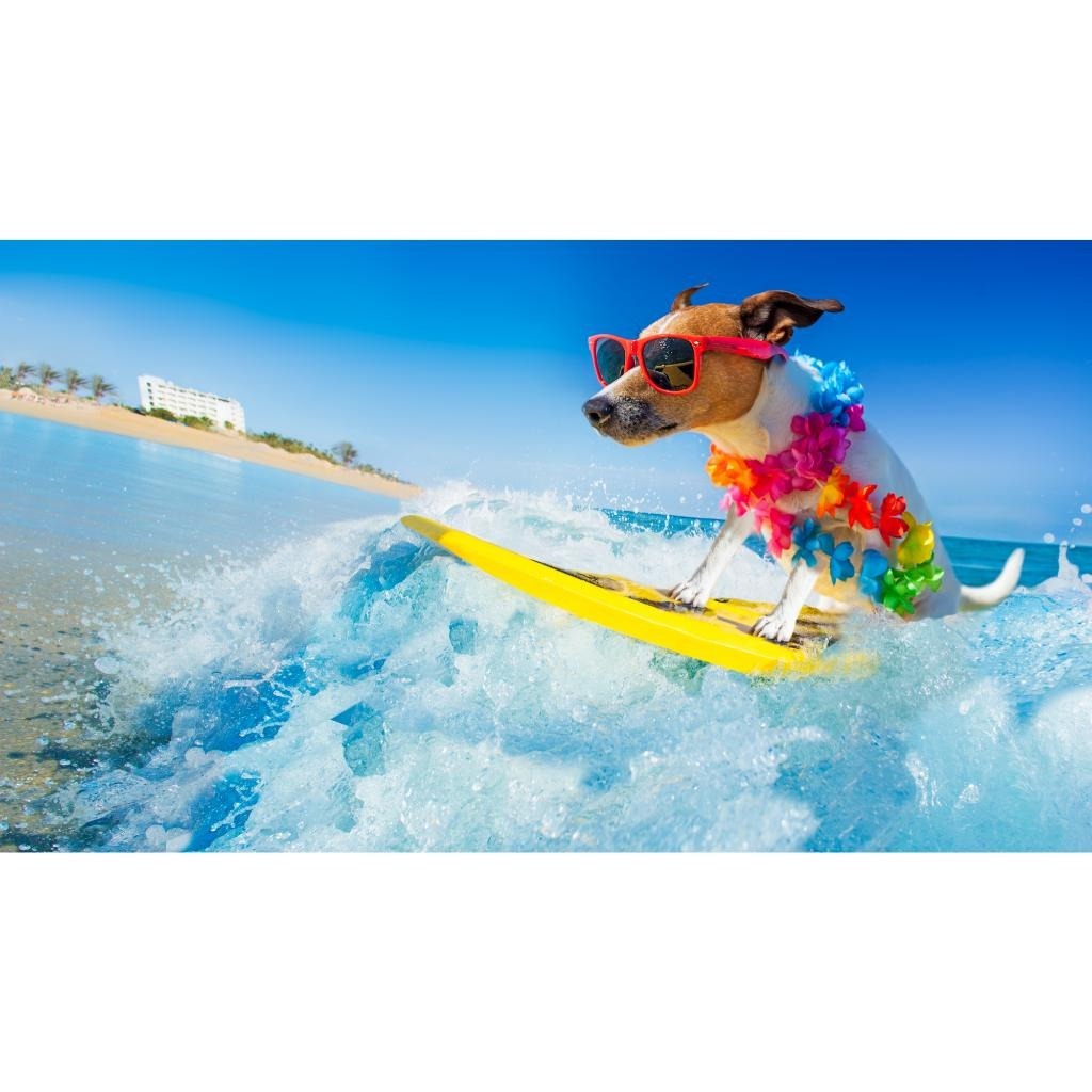 Surfing